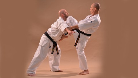 Kyokushin Karate Syllabus Prüfungsprogramm Vol.1