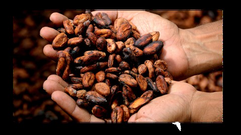 Kakaoritual: Begegnung mit dem Höheren Selbst