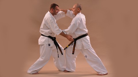 Kyokushin Karate Syllabus programme d'examen Vol.2