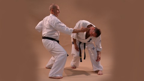 Kyokushin Karate Syllabus Exam Program Vol.2