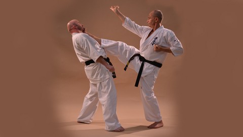 Kyokushin Karate Syllabus Programa de Examen Vol.2
