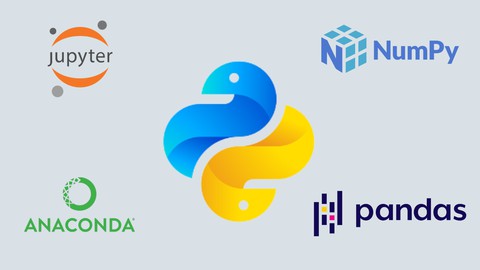 Python Programming Fundamentals with AI Insights