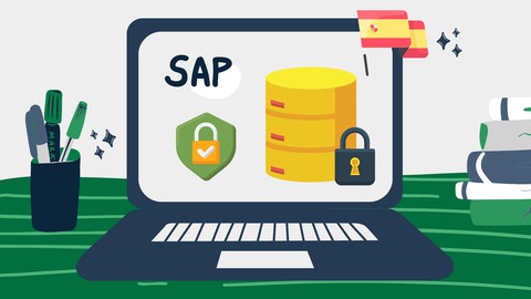 Seguridad SAP : Domina la Gestión de Roles y Autorizaciones