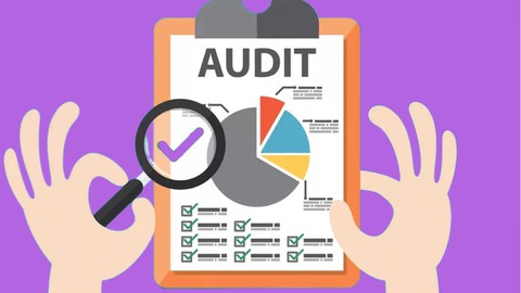 Become an External Auditor - External Audit Process Level 2