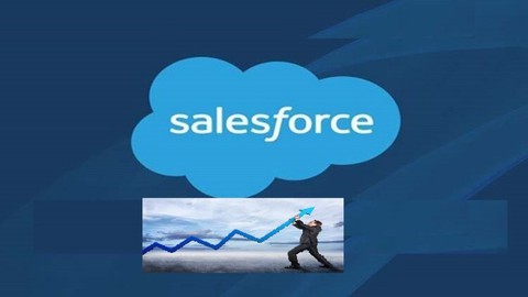 Salesforce Sales Cloud Practice Tests