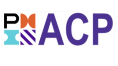 Simulados PMI-ACP ( Agile Certified Practitioner)  - 2024