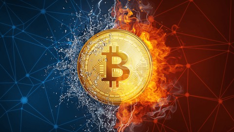 Sukses Berinvestasi Bitcoin 2 Jam per Minggu Profit 3000%