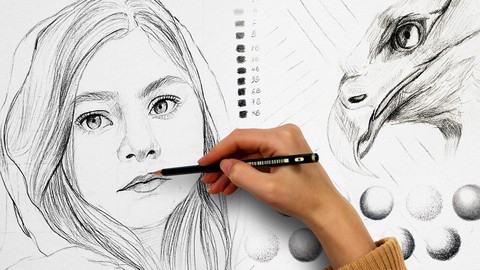 Fundamentals of Drawing: Pencil Measurement to Sketching