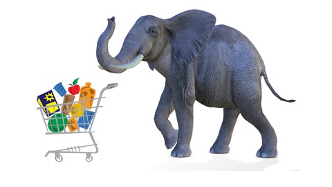 PHP for Beginners: How to Build an Ecommerce Store