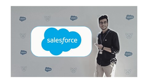 Salesforce Development : The Live Way