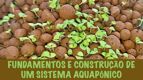 Aquaponia: fundamentos e construção de um sistema aquapônico