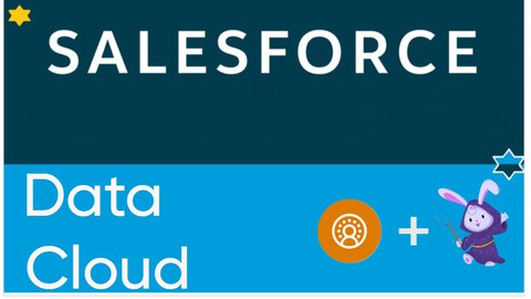 Salesforce Certified Data Cloud (CDP) Consultant Exam [SP24]