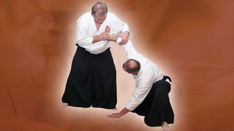 Aikido von A bis Z Grundtechniken Vol.5