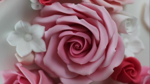How to make sugar craft roses