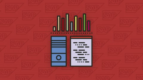 Qué es SAP - Curso básico de introducción