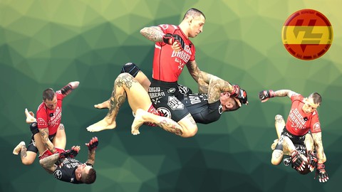 MMA | Ground & Pound (Golpeo en el suelo) en Español