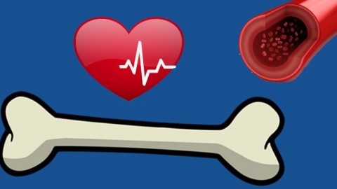 NCLEX Simplified: Cardiac, Circulatory, and Musculoskeletal