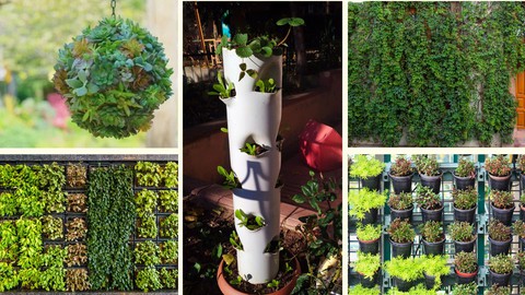Kheti Buddy's Vertical Gardening Workshop (English)