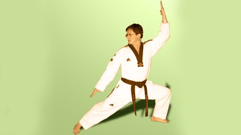Taekwondo 16 Poomse - Vom Weißgurt bis zum Schwarzgurt 7.Dan
