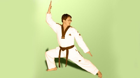 Taekwondo 16 Poomse - From white belt to black belt 7th Dan
