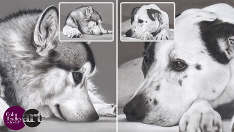 How to Draw Dogs - Monochrome Effect - Just 4 Pastel Pencils