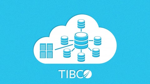 TIBCO ActiveMatrix BPM 3.x Essentials