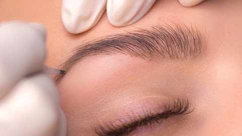 Hybrid brows Permanent Makeup (combination hairs+shading)