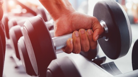 10 Métodos de treino de musculação