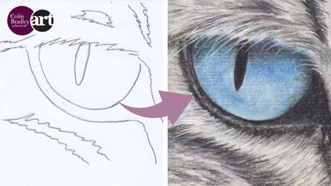 Draw a Stunning Cat's Eye using Pastel Pencils