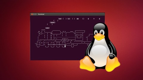 Терминал Linux. Основы работы в командной строке.