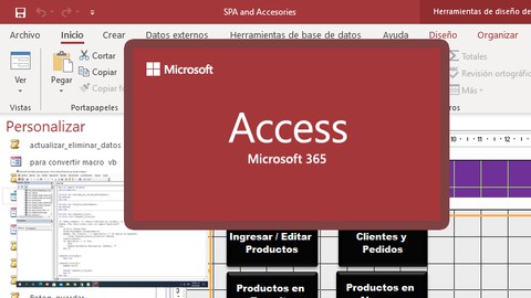 Microsoft Access curso de Novato a Profesional