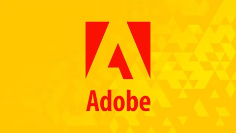 AD0-E212 Adobe Analytics Business Practitioner Professional