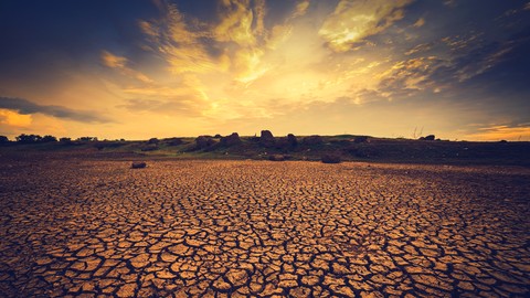 Dealing with Drought