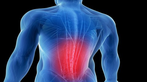 Low Back Pain: Biomechanical Torsion for Lumbar Pain