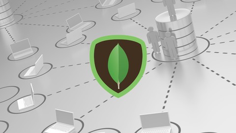 MongoDB Fundamentals For Developers-Learn By Exercises