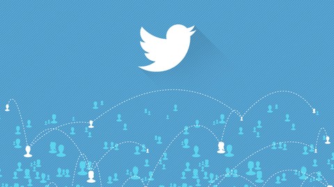 Twitter Followers: Get 100 Twitter Followers in 48 Hours