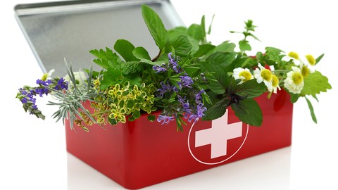 Herbalism :: Essential First Aid Remedies Certificate