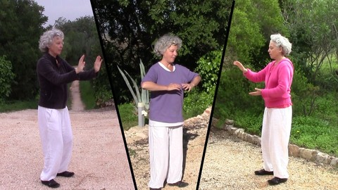 Mindful Based Stress Reduction : Stress Relief With Qi Gong