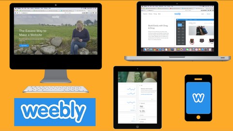 Learn to Build Professional Weebly Websites from a Kid