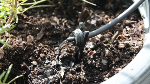 Irrigation 101: Drip Irrigation For Lawn And Farm