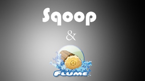 Learn Ingestion in Hadoop Using Sqoop and Flume Tool