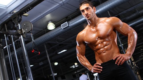 Body Building:  Build A Bigger Muscle Building Chest