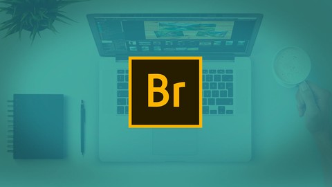 Essential Skills for Designers - Adobe Bridge