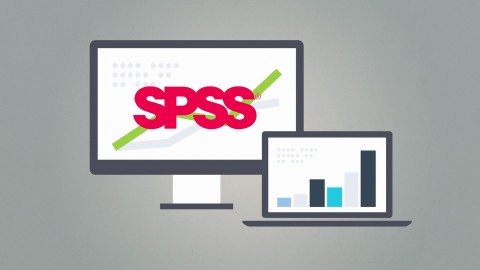Statistics/Data Analysis with SPSS: Descriptive Statistics