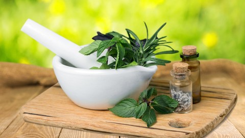 Herbalism :: Introduction & Medicine Making Certificate