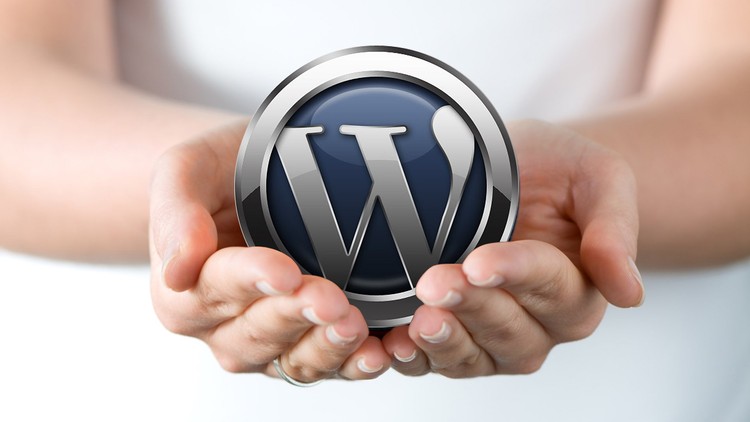 WordPress: Make A Professional Website With No Coding