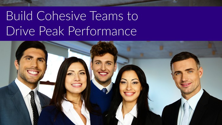 Build Cohesive Teams to Drive Peak Performance