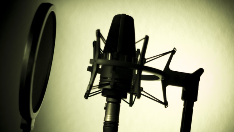 Voice-Over Pro: How to Perform & Record Standout Voice-Overs