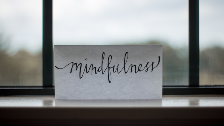 Mindfulness Meditation:  The Science And Practice