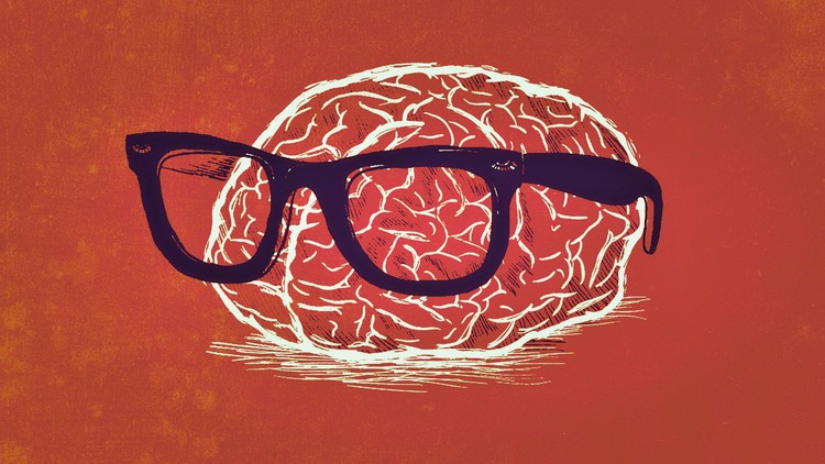 Neuroplasticity: Hands-On Training to Rewire Your Brain